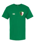 Algeria Soccer Tee 2026 — Retro National Crest | NYC Factory