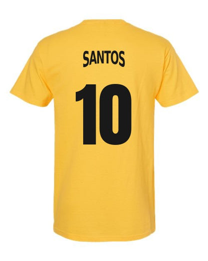 custom-crest-soccer-tee-2026 example BRA back