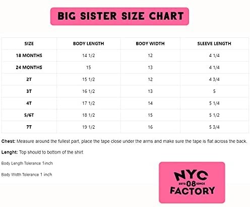 Big Sister Short Sleeve Girls Sibling Tee (Mauve)